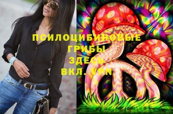 амфетамин Белокуриха
